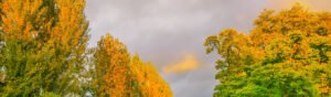 Vale do Loire