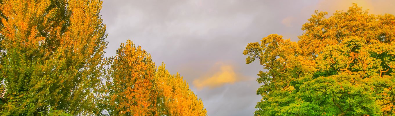 Vale do Loire