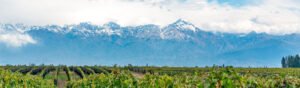 Mendoza