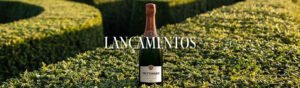 Lançamentos Taittinger