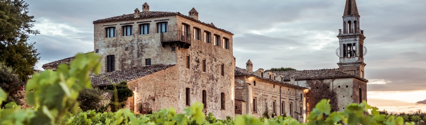 O vinho de Abruzzo mudou com a visão de um único homem