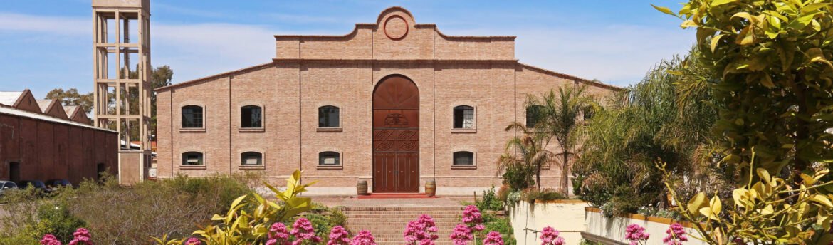 Como a expansão urbana cercou uma vinícola histórica