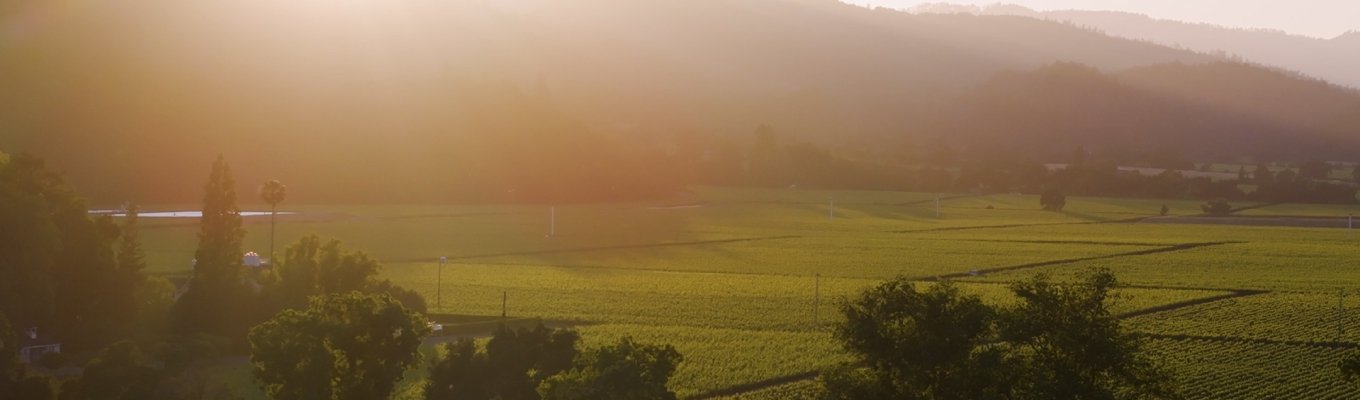 Por que essa vinícola de Napa Valley insiste tanto em um único vinhedo?