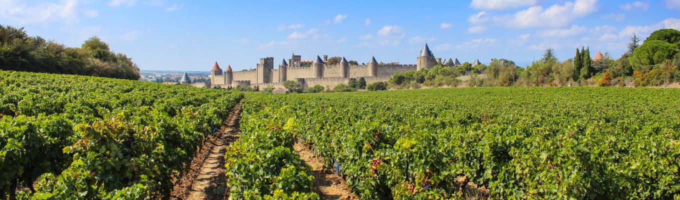 A famosa Languedoc na França.