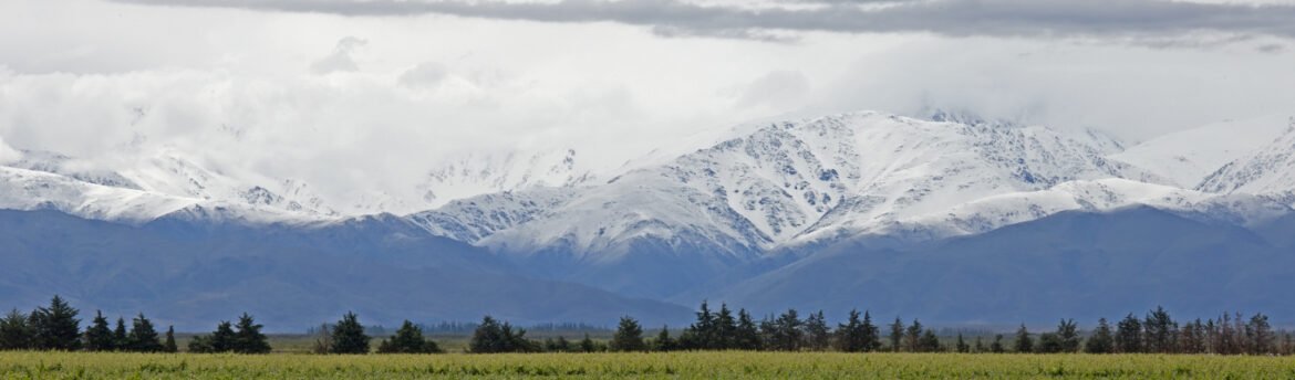 Malbec de altitude mostra como origem, clima e vinhedos altos mudam frescor, textura e complexidade no vinho argentino.