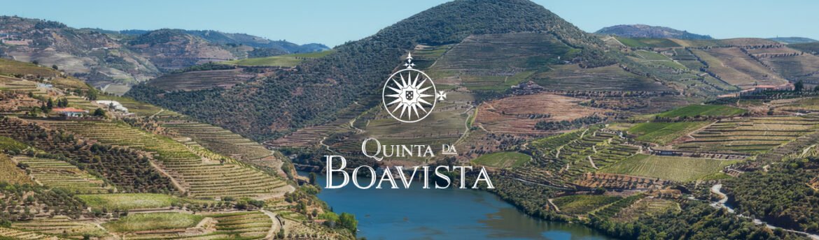 Conheça a Quinta da Boavista no Douro, suas vinhas históricas, os socalcos de xisto e três tintos disponíveis na TodoVino.Conheça a Quinta da Boavista no Douro, suas vinhas históricas, os socalcos de xisto e três tintos disponíveis na TodoVino.