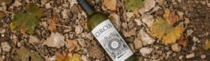 Terroir explicado de forma direta: entenda como solo, clima e altitude mudam o sabor de um vinho e por que a mesma uva nunca é igual em dois lugares.